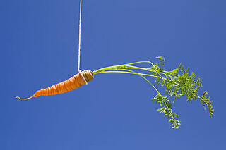Carrot vs stick incentive