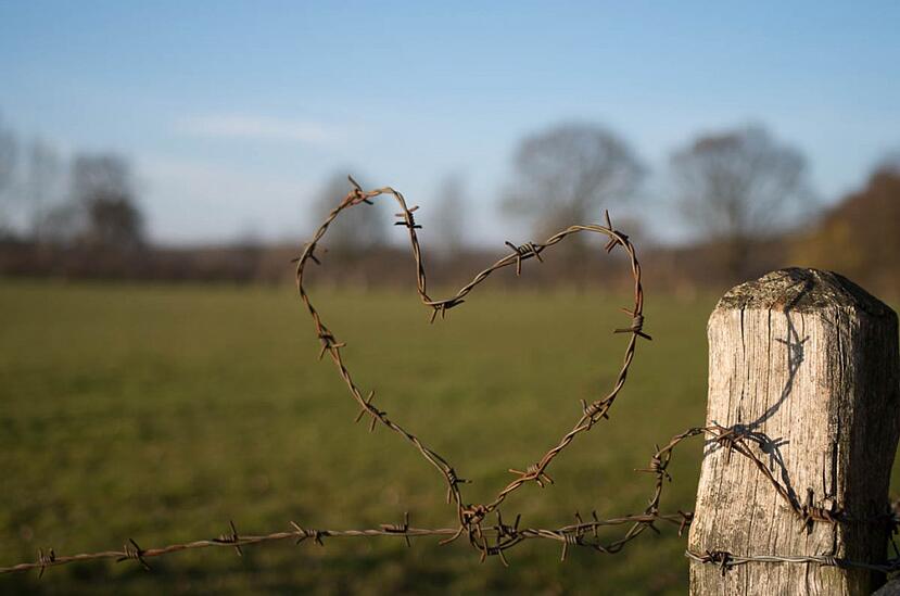 Barbed Heart