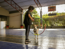 In-Blog Image 1_ From Side Hustle to Six-Figure Dog Training Business_ What You Need to Know