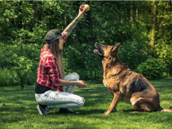 In-Blog Image 2_ From Side Hustle to Six-Figure Dog Training Business_ What You Need to Know