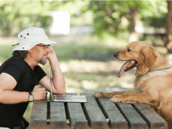 In-Blog Image 3_ From Side Hustle to Six-Figure Dog Training Business_ What You Need to Know