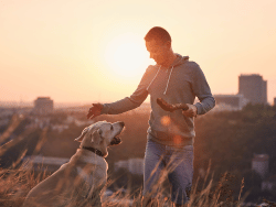 In-Blog Image First_ From Side Hustle to Six-Figure Dog Training Business_ What You Need to Know