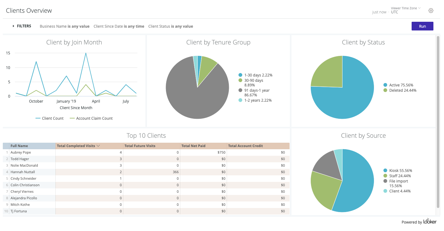 looker reporting Dashboard client data 