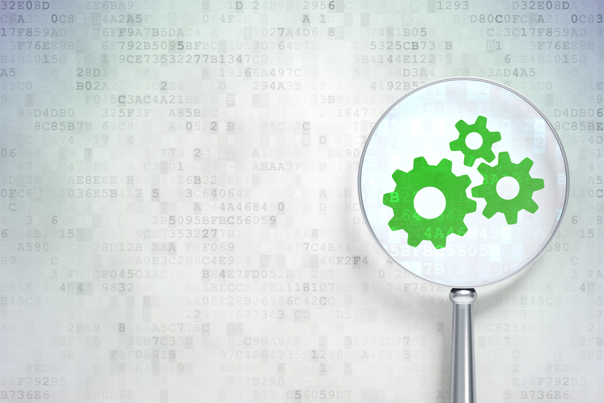 Gear Up for Growth: Use the summer to assess your business