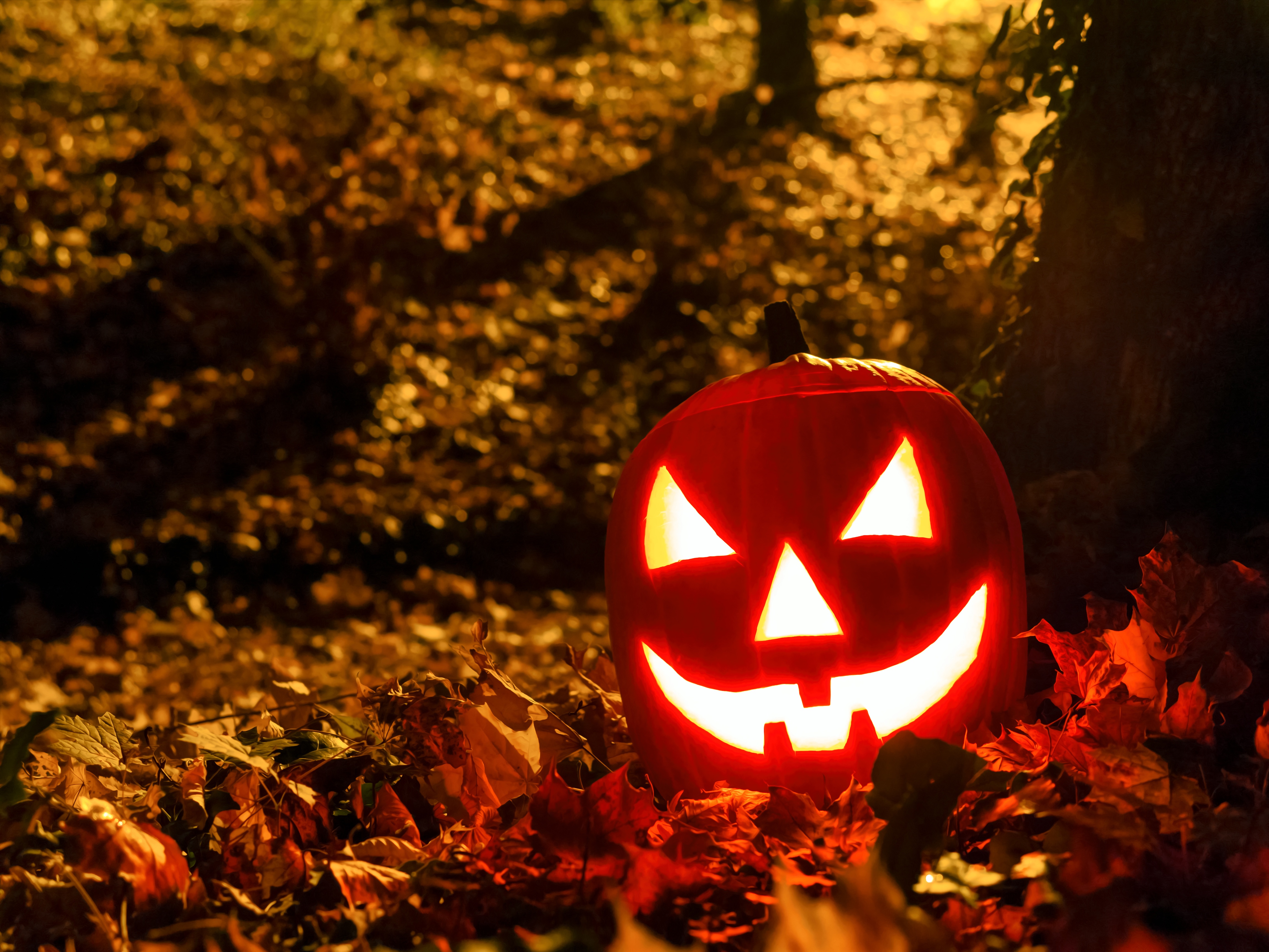 How to Tailor your Marketing Campaign for Halloween