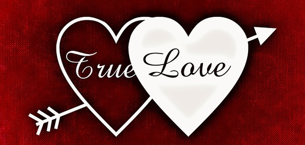 Get to know your software: Demos, trials and the onboarding process